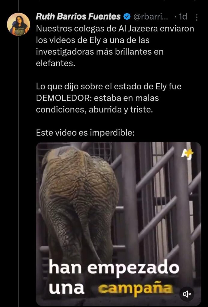 Piden ahora rescate de Ely, la elefante