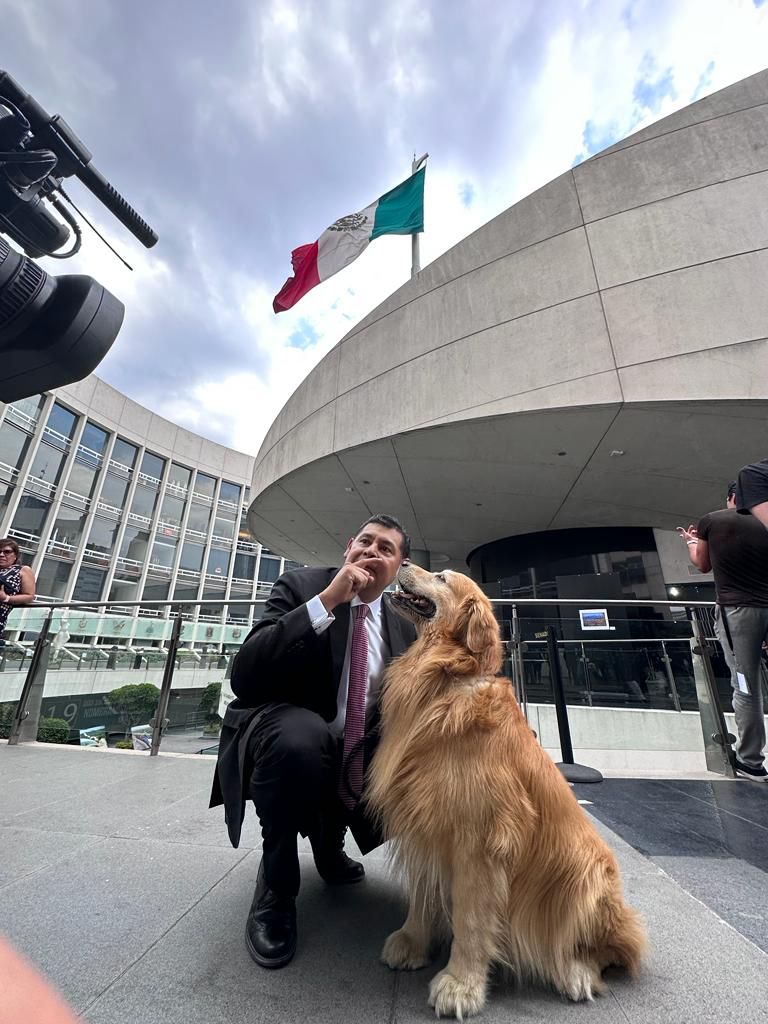 Alejandro Armenta trabaja por el bienestar animal