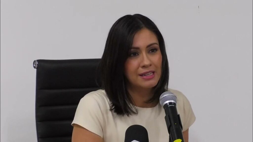 Podría haber cinco candidatos independientes en alcaldías, asegura el IEE