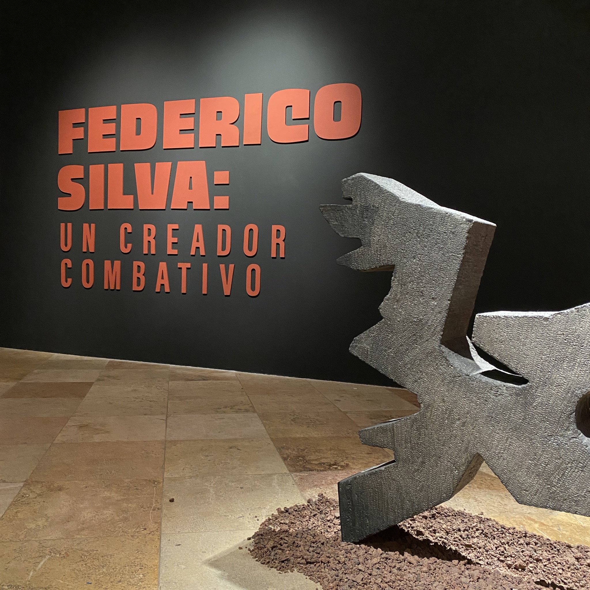 El Museo Federico Silva y su creador combativo