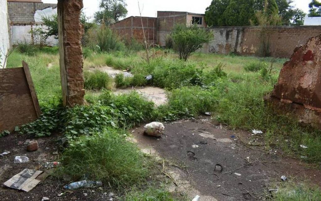 OOSL recibió 100 reportes de lotes baldíos que representan un riesgo de inseguridad