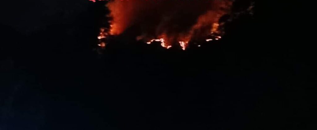 Reportan incendios forestales en la Sierra Norte