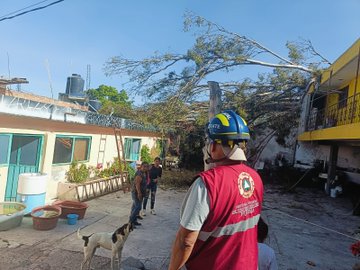 Viento derriba árboles y anuncios en Puebla capital, las Cholulas, Ocoyucan, etc: Protección Civil estatal