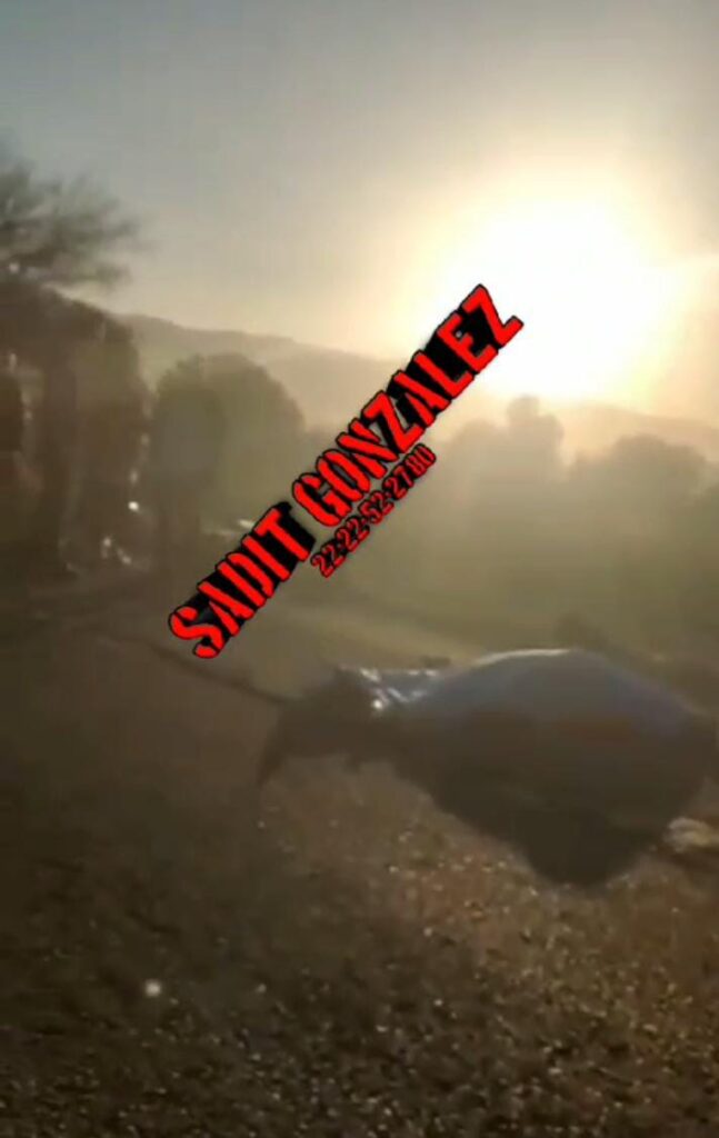 Por esquivar a un perro, motociclista derrapó y murió en Tecamachalco