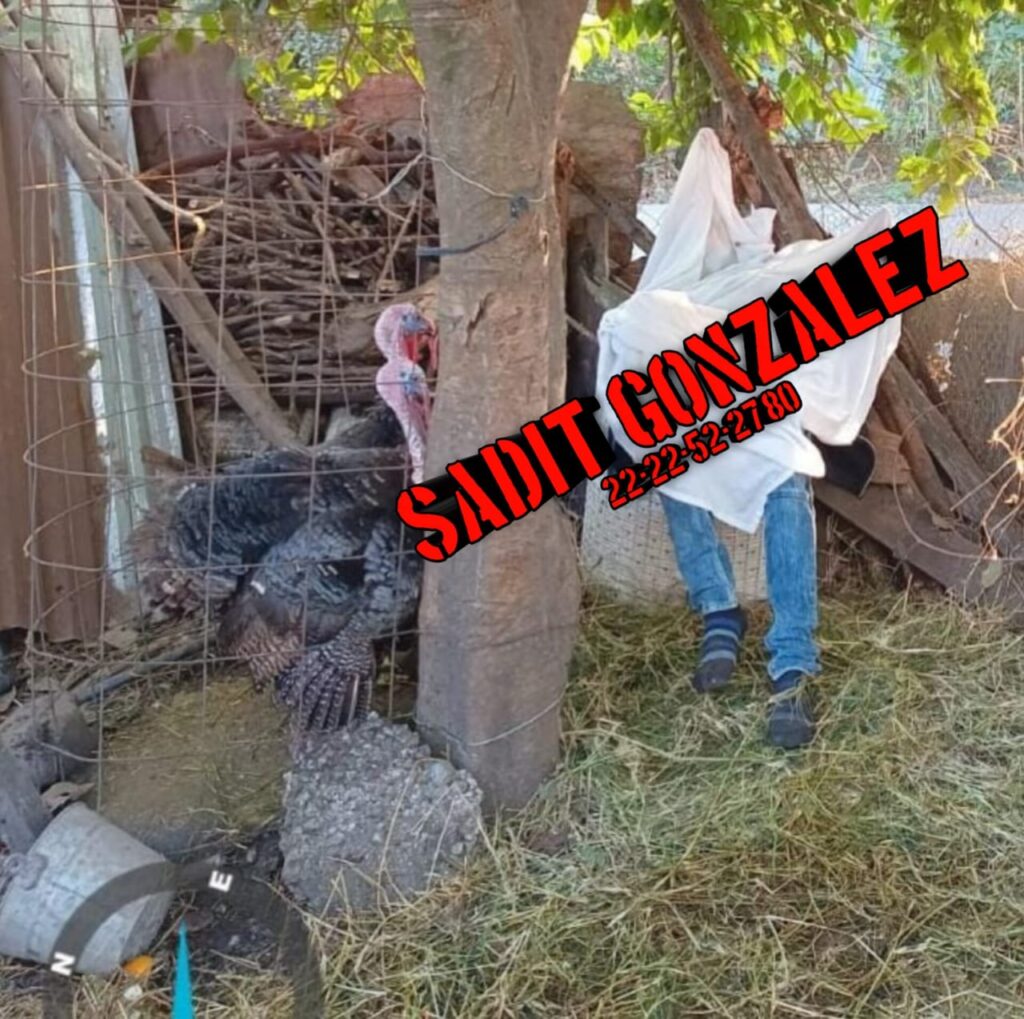 Lo encuentran muerto en el patio de su casa en Venustiano Carranza