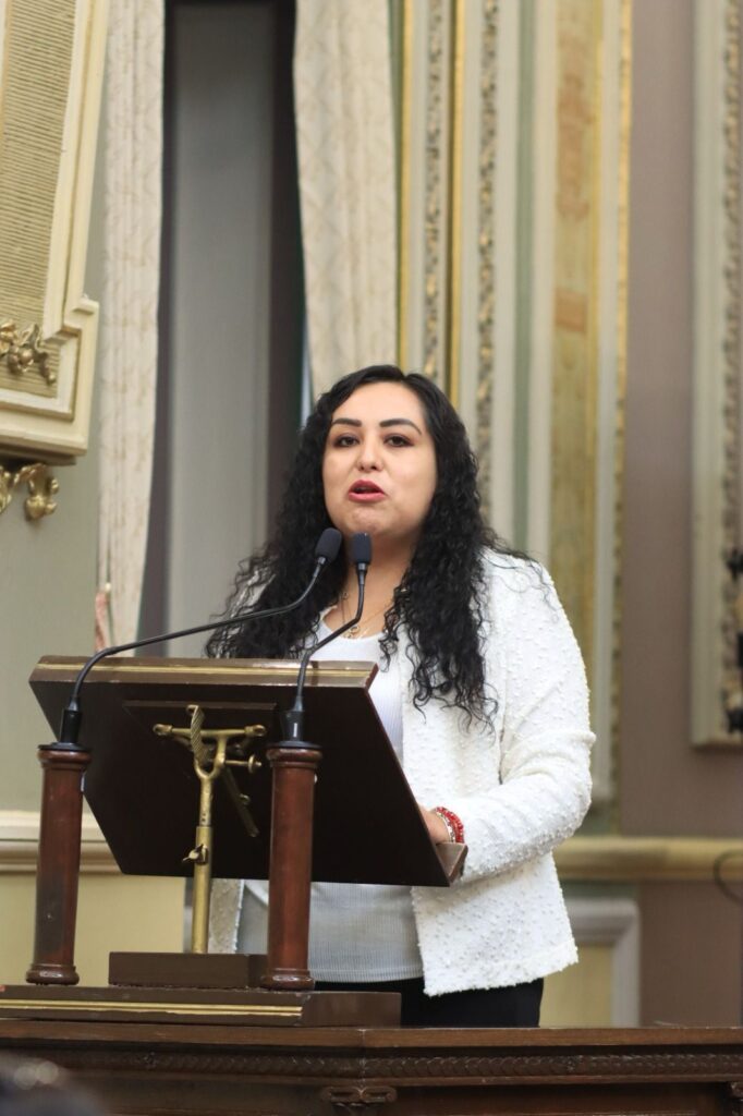 Aprueban el Congreso reforma contra la propaganda electoral en transporte público