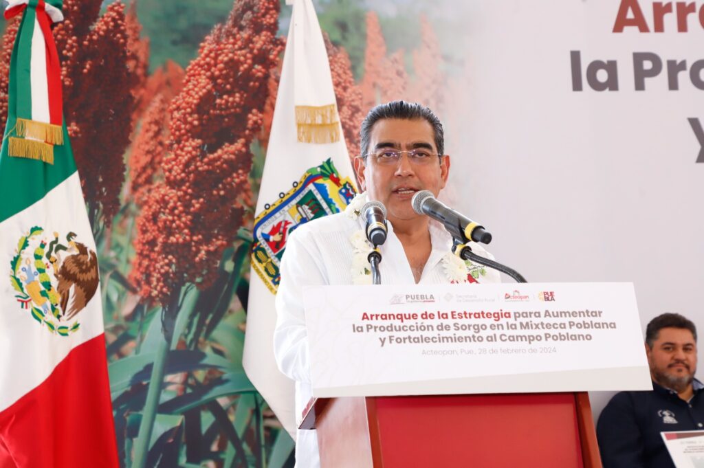 Somos el gobierno que más ha apoyado a los productores agrícolas: Sergio Salomón