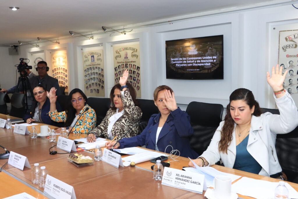 Presentan en Comisión del Congreso proyecto de Convocatoria para el proceso de consulta en materia de salud mental