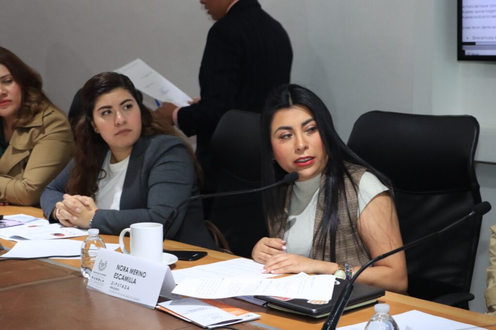 Comisión del Congreso aprueba exhorto para que la SEP sensibilice sobre la importancia del Día Internacional de la Mujer