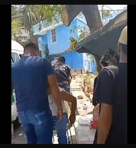 AMLO reprueba que integrantes de la delincuencia extorsionen y golpeen a transportistas de Acapulco