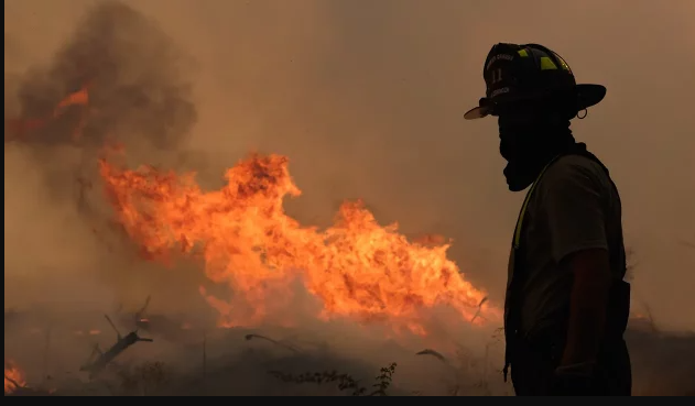 México registra 126 incendios forestales activos con afectación en 8,669 hectáreas