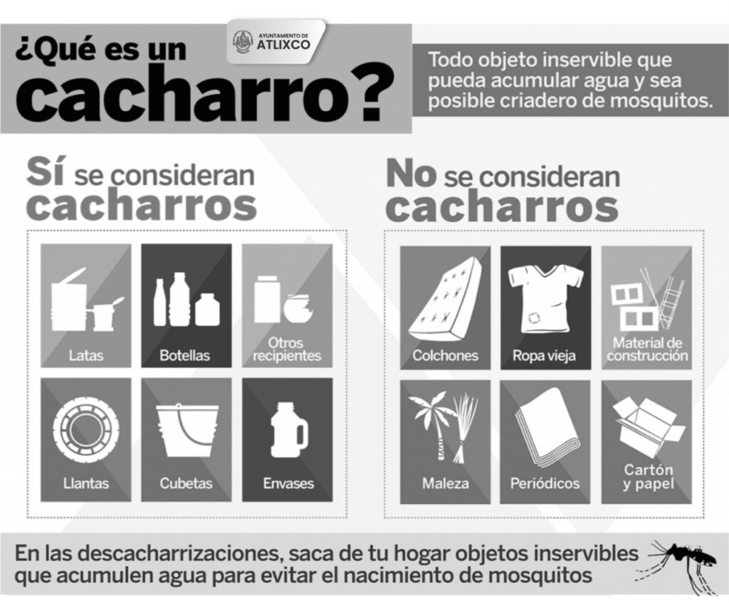 Desde Atlixco: ¡Evita el dengue, elimina cacharros!