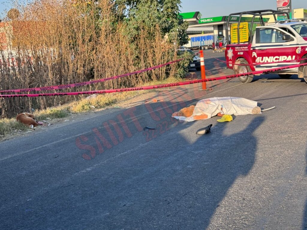 Perritos ven morir a su dueño,  atropellado en Huixcolotla