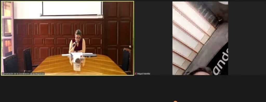 Susana Riestra, la regidora más faltista a comisiones del Cabildo