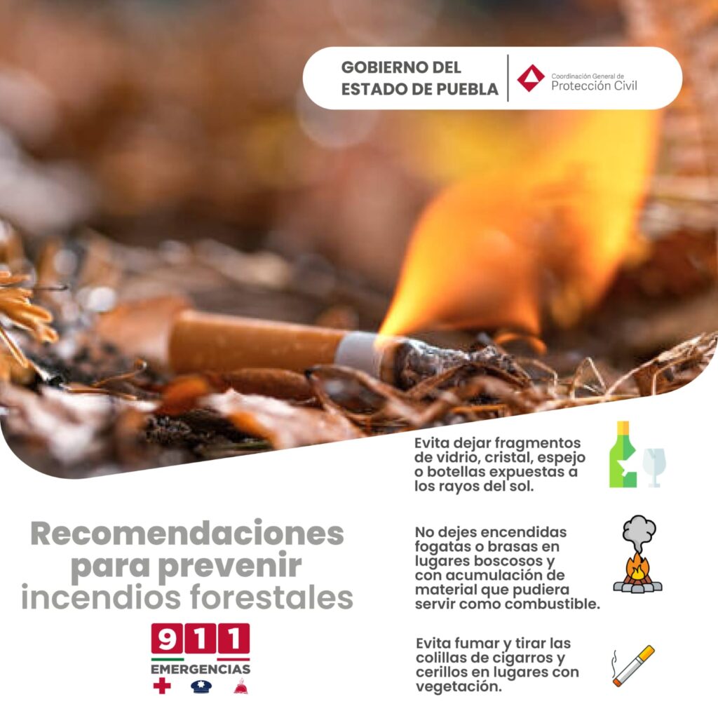 Incendios forestales provocados serán castigados con cárcel: Sergio Salomón