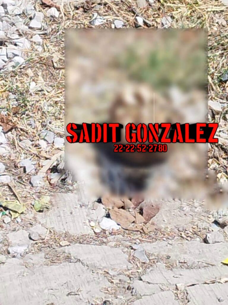 Hallan cráneo humano en Zoquitlán