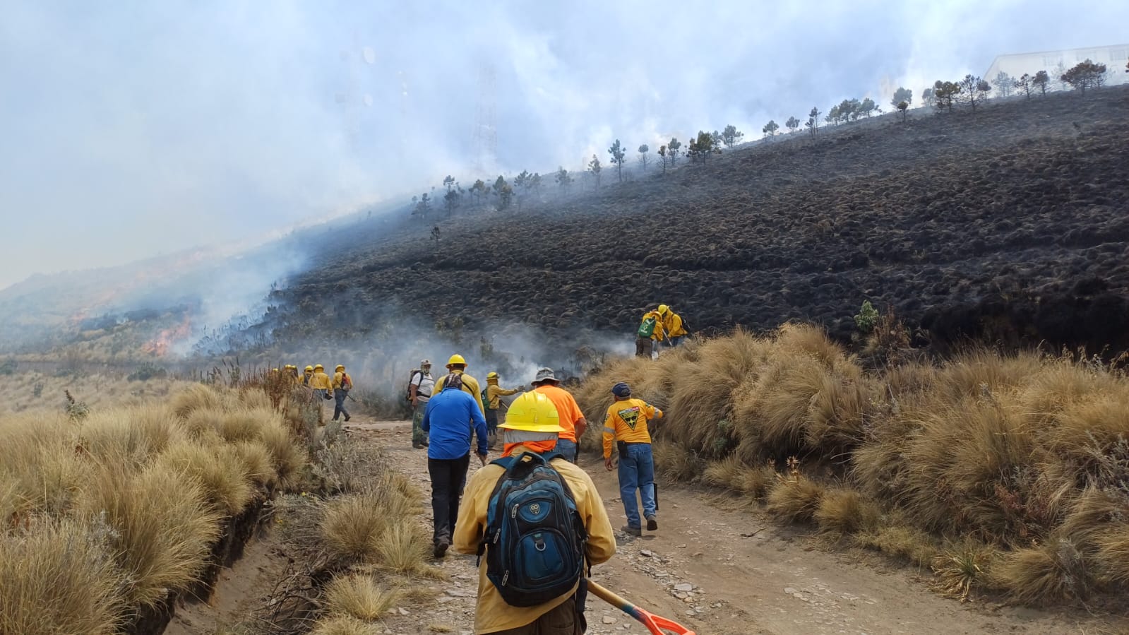 Puebla, 8vo estado nacional en el número de incendios forestales