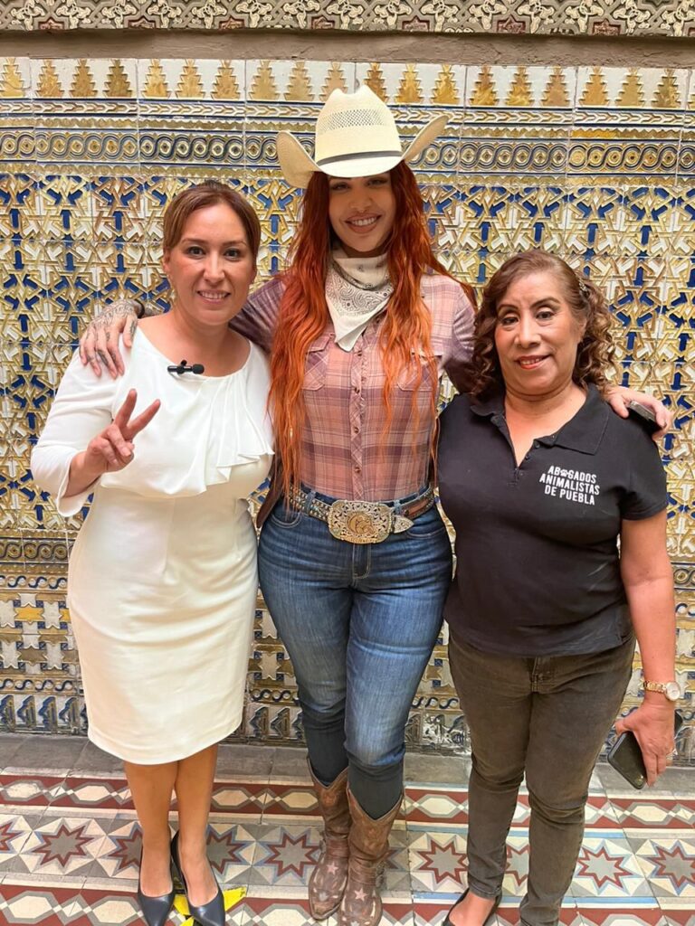 Buscan que ley Elena Larrea sea a nivel federal