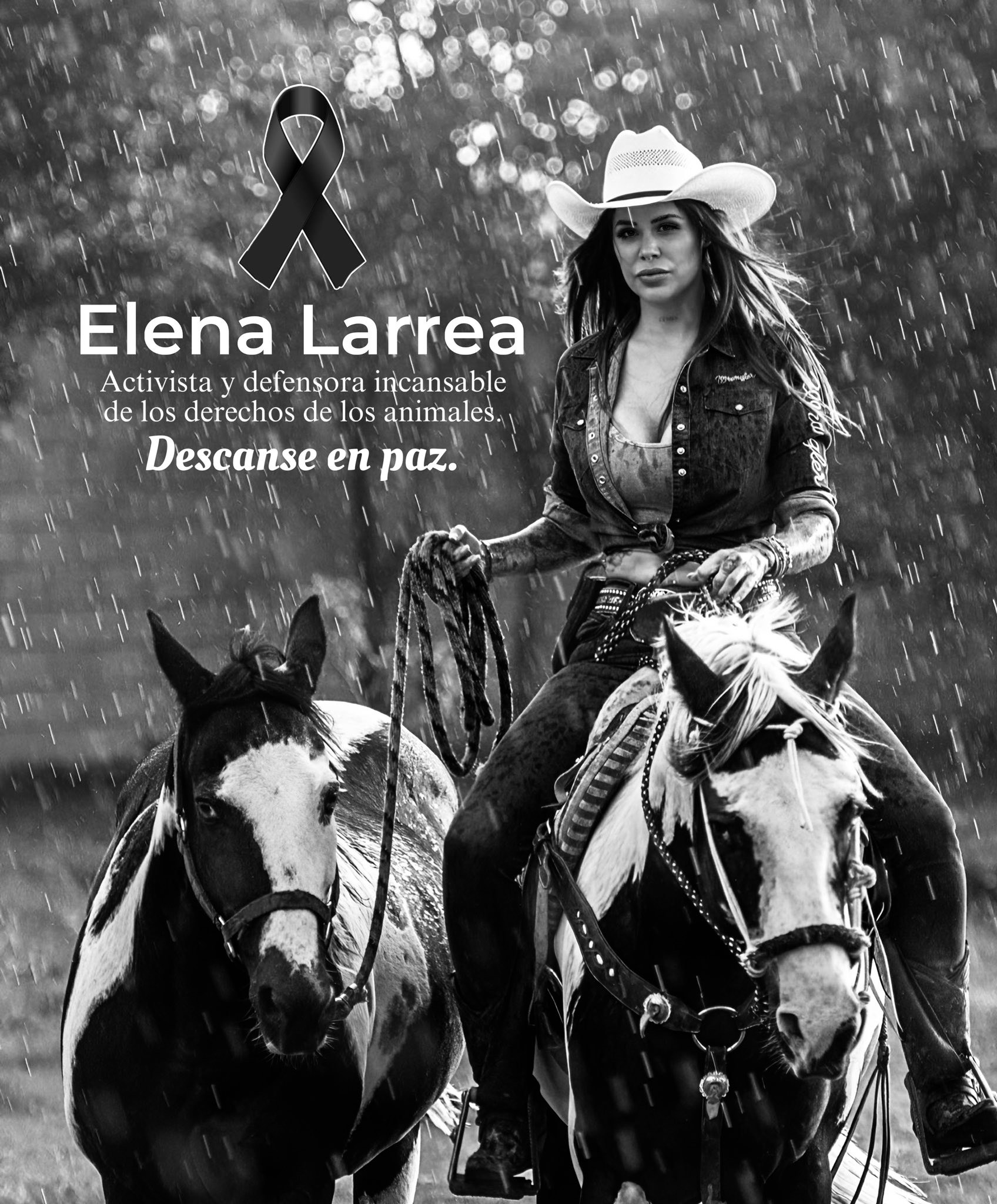 Muere la activista defensora de los animales Elena Larrea