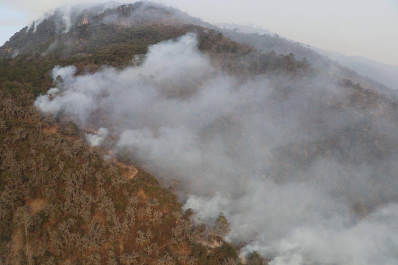Intervienen 89 combatientes en el incendio forestal de Zautla