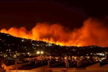 Incendios forestales en Veracruz arrasan con las montañas ¡Cinco siniestros están fuera de control!