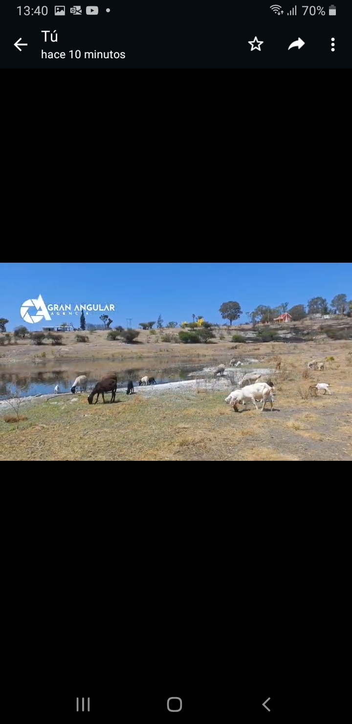 Video desde Puebla: Estiaje seca el lago Valsequillo