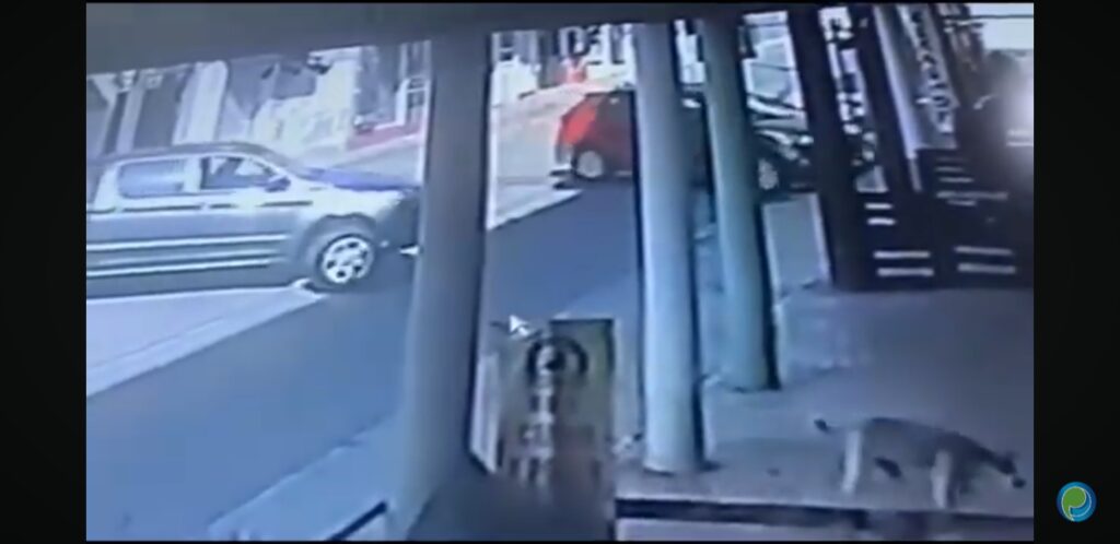 Con absoluta impunidad y tranquilidad, rateros se llevan camioneta en Cuautlancingo