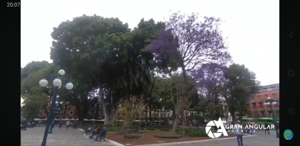 Video desde Puebla: Angelópolis, nuevamente con fuertes vientos