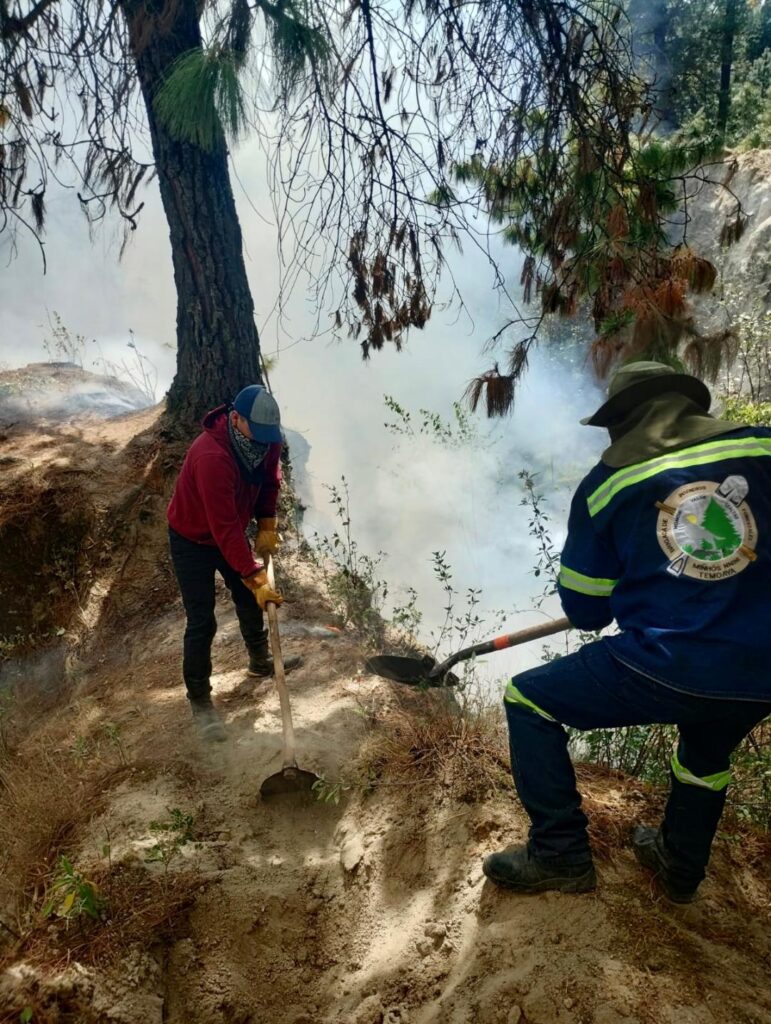 Decenas de brigadistas combaten incendios forestales registrados en EdoMéx