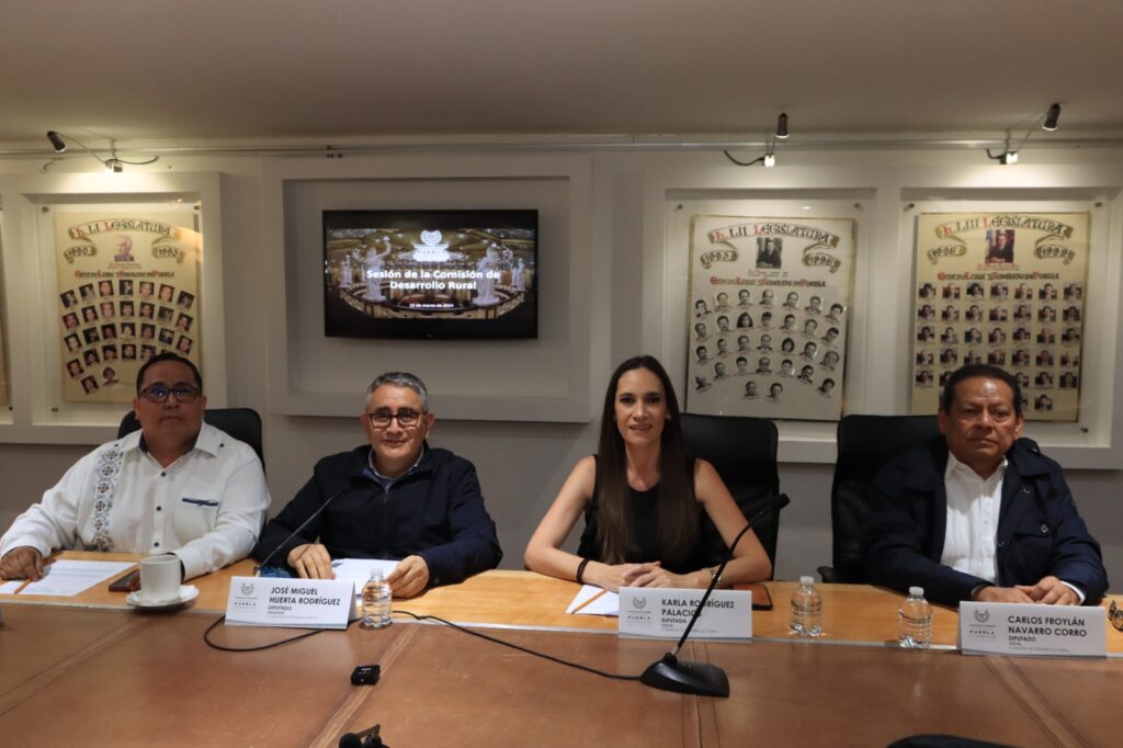 Aprueban en Comisión del Congreso acuerdo para promover programas de apoyo a productores de naranja