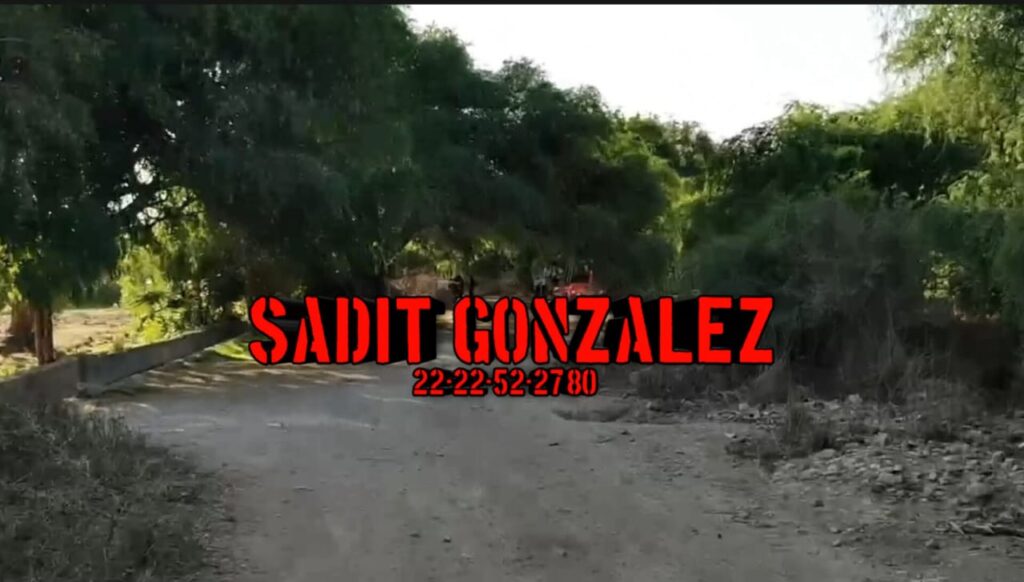 Hallan a mujer sin vida, maniatada y con huellas de violencia en Tehuacán