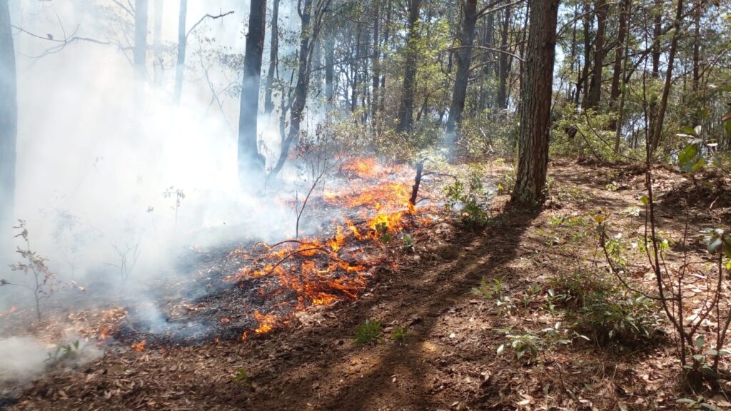 Puebla, cuarto estado del país en incendios forestales: Conafor 