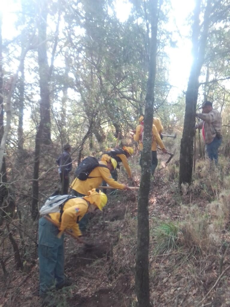Liquidan incendio forestal en Parque Estatal Sierra de Guadalupe