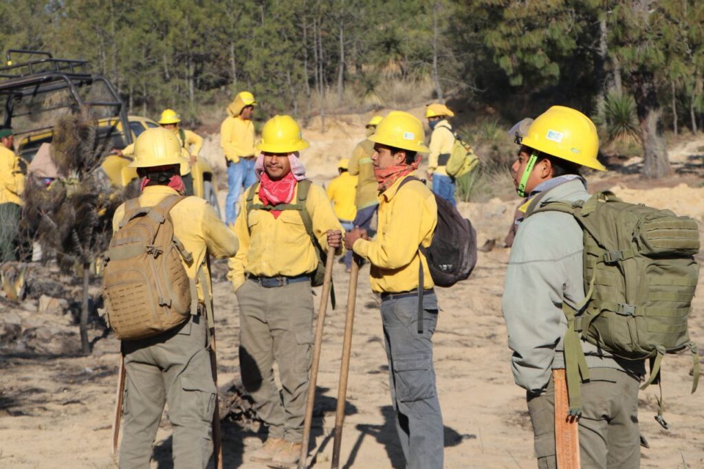 Incendio en Libres dañó 120 hectáreas aproximadamente, confirma el gobierno de Puebla