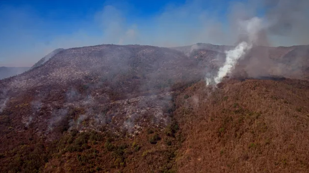 Incendios forestales se agudizan por sequía: hay 73 activos