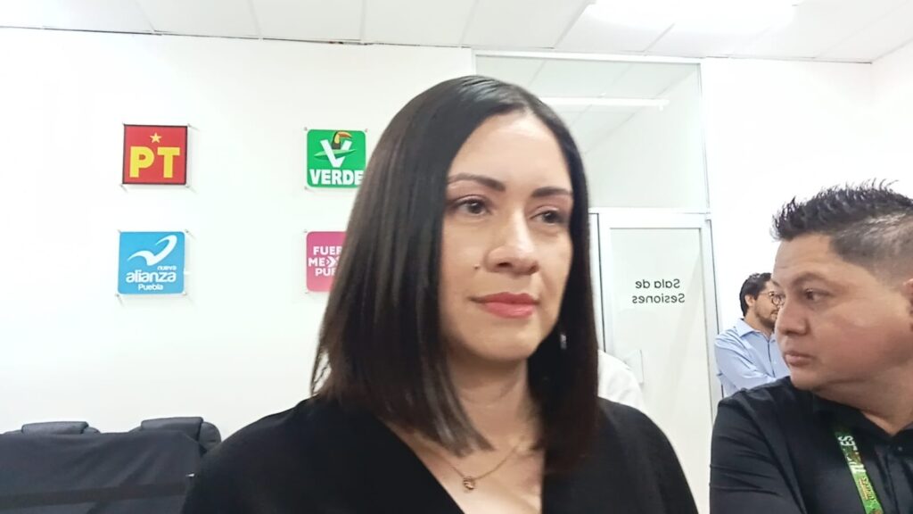 Confirma IEE ocho peticiones de protección a candidatos