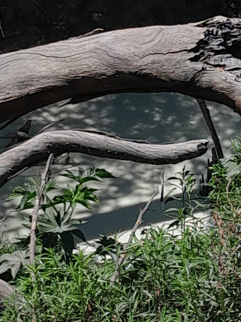 Video desde Puebla: Reportan posible fuga de material tóxico en la colonia del Valle