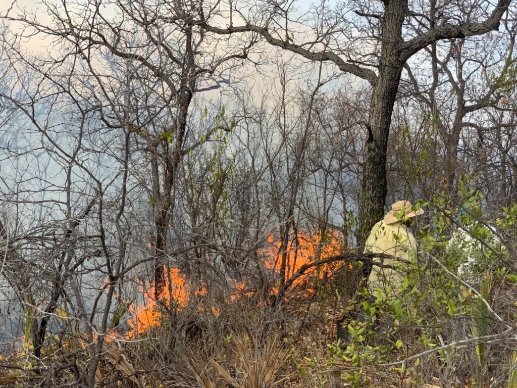 Video y Fotonota: Sin control, incendio en Ahuatempan