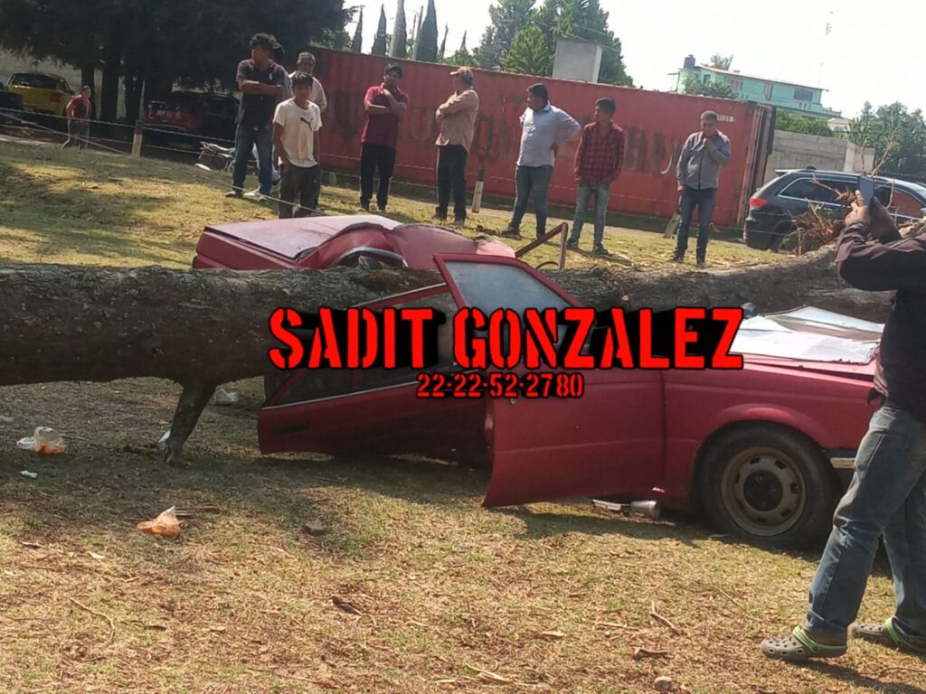 Cae árbol sobre vehículo en Ahuazotepec; al menos dos heridos, entre ellos una bebé