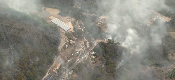 Incendio en Tetela de Ocampo fue provocado: Sergio Salomón