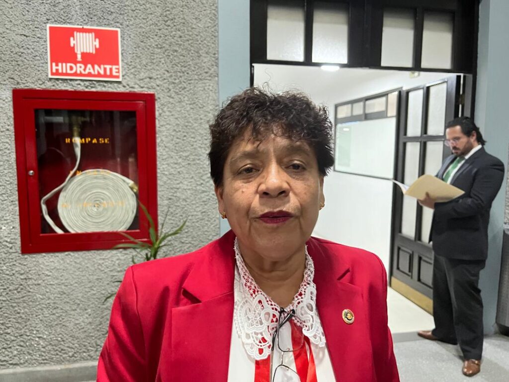 Llaman en Congreso a accionar protocolos de seguridad de candidatos y candidatas