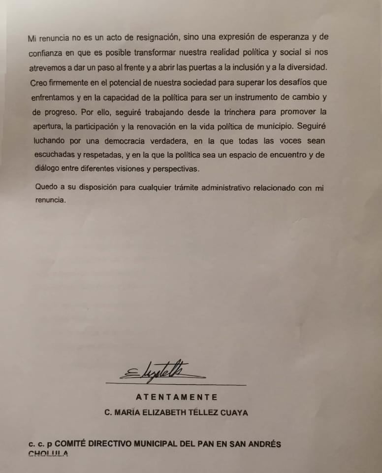Ely Téllez renuncia al PAN tras 13 años de militancia; culpa a Mundo Tlatehui y Lupita Cuautle