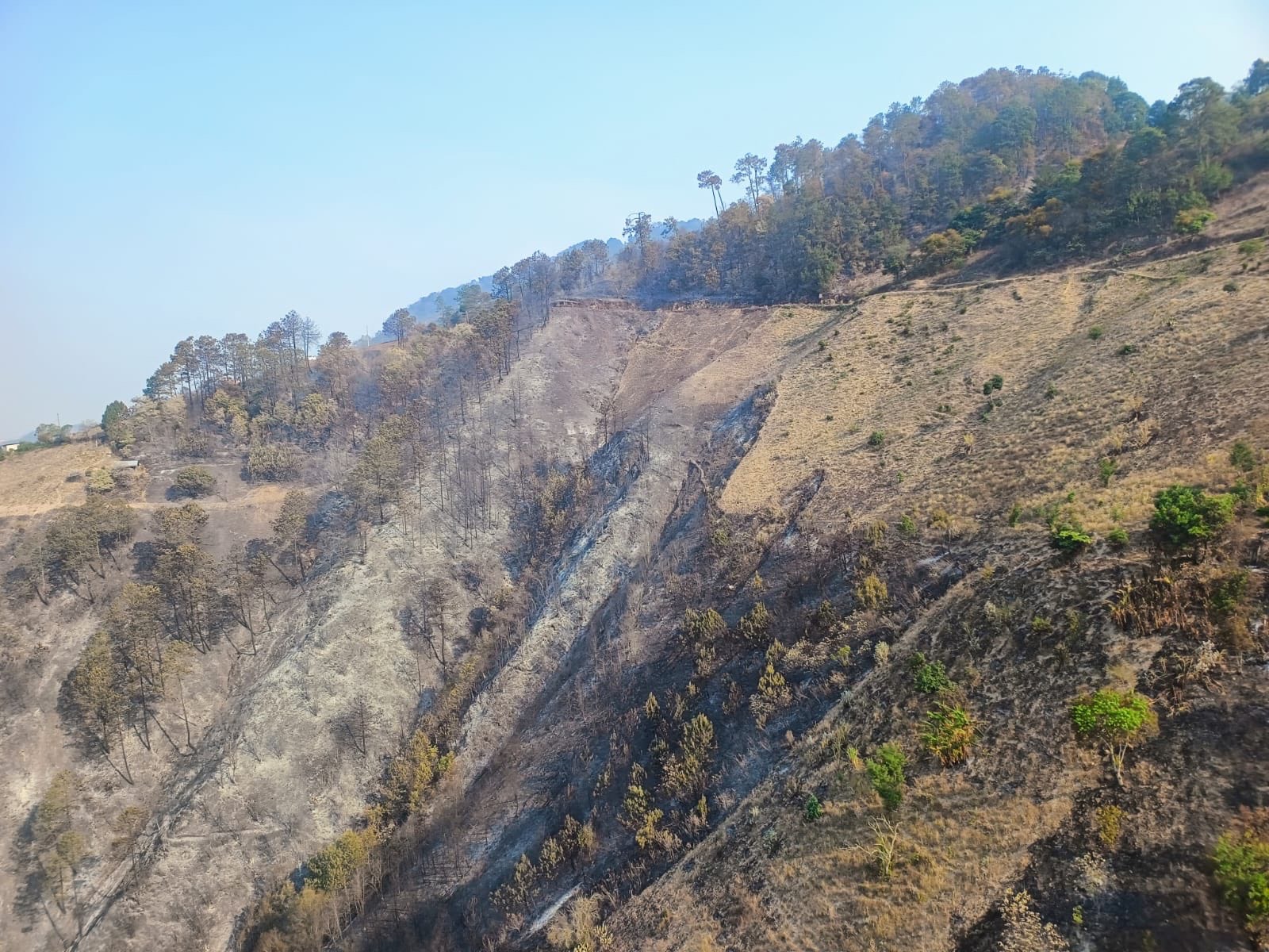 Liquidan incendio forestal en Xonotla, Zacatlán: Sergio Salomón