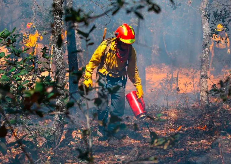 Se extiende el infierno de incendios forestales a 24 estados y 36 áreas naturales protegidas