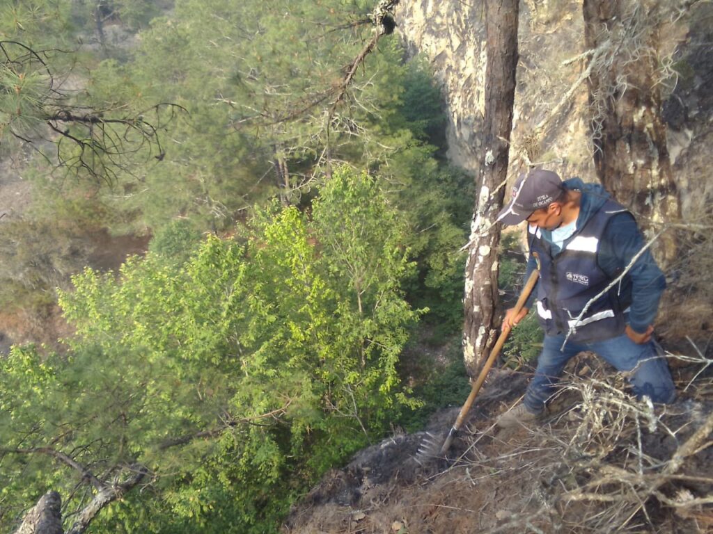 Liquidado totalmente el incendio forestal en Tetela: Sergio Salomón