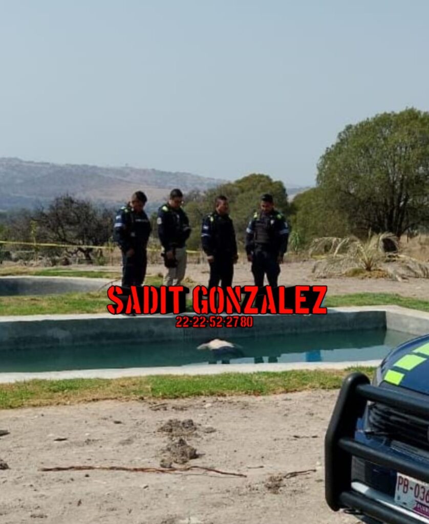 Dejan cadáver de mujer en una alberca de la colonia Ampliación Álamos