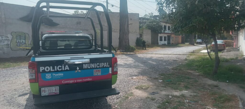 Perro llevaba en sus fauces un cráneo humano en la colonia Bosques de Santa Anita