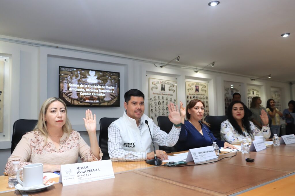 Aprueba Comisión del Congreso exhorto para prevenir incendios forestales