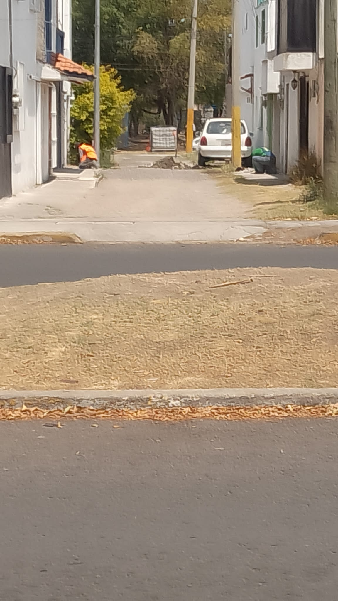 Vecina de Jardines de San Manuel denuncia al Soapap por falta de agua