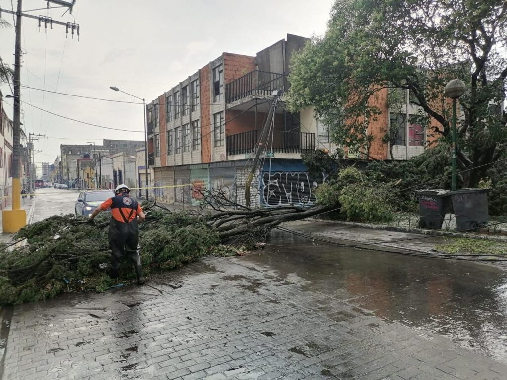Confirman caída de árboles, apagones y fallas en semáforos por la tormenta